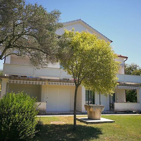 Family Friendly Apartments Island Rab Kampor Εξωτερικό φωτογραφία