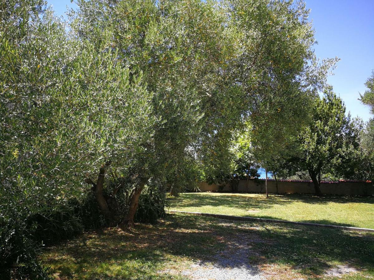 Family Friendly Apartments Island Rab Kampor Εξωτερικό φωτογραφία